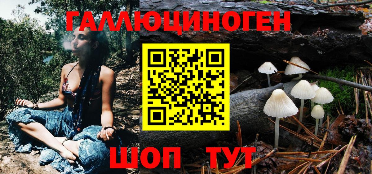 Псилоцибиновые грибы ЛСД Избербаш