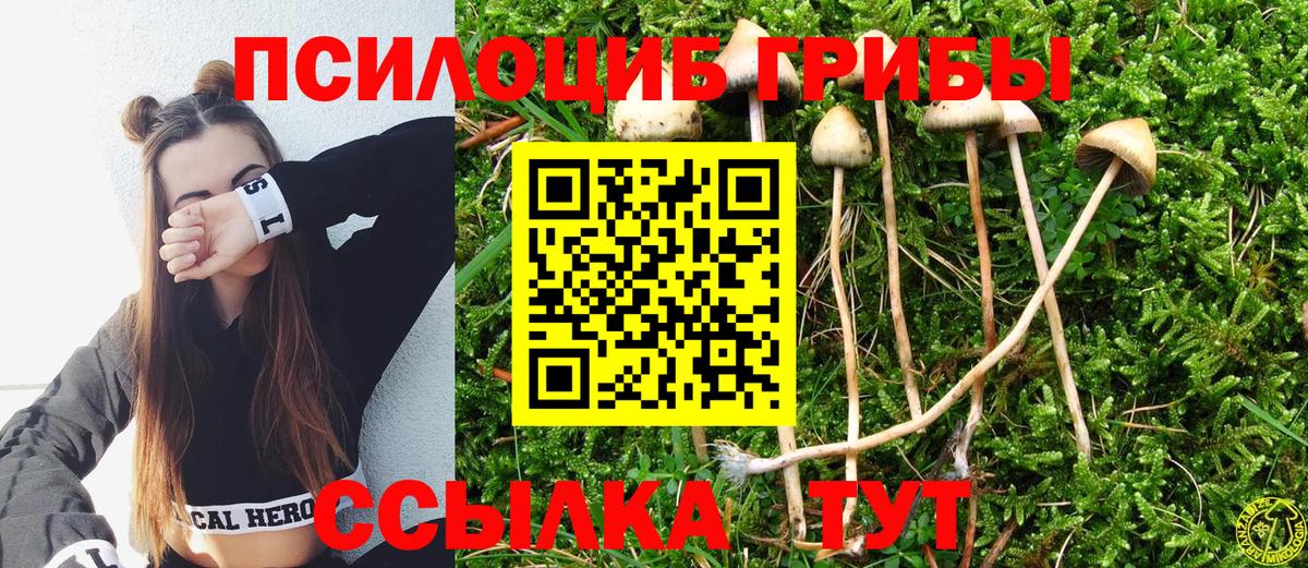 Избербаш  купить закладку  Вход с VPN  Галлюциногенные грибы мицелий 